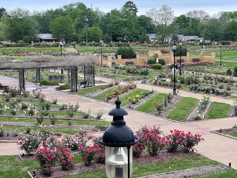 Tyler (The Rose Capital of America)