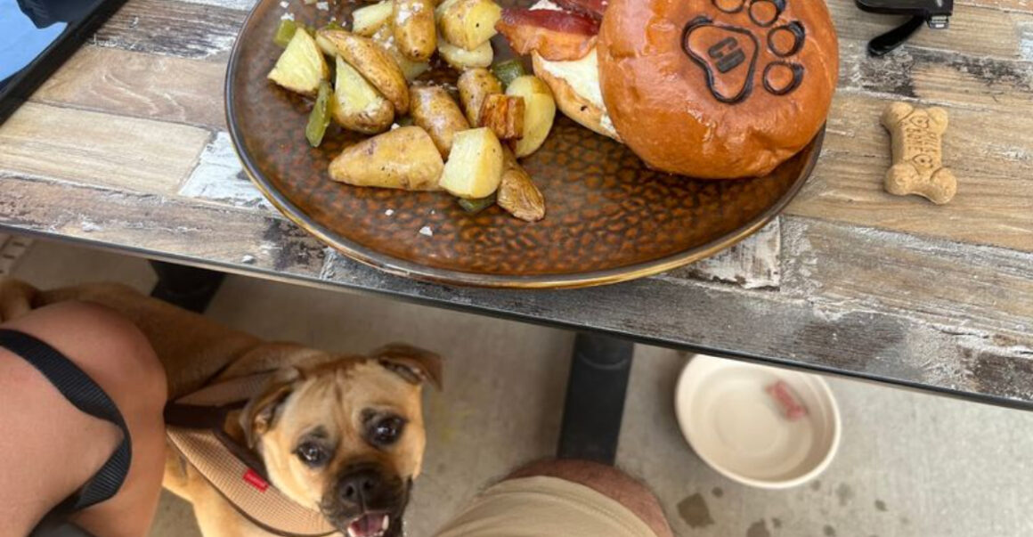 10 best dog friendly restaurants in new jersey for dining out with your pup