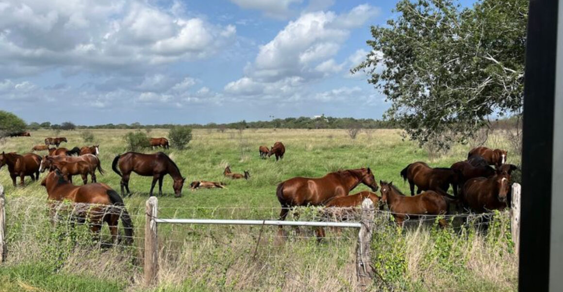 10 mind blowing texas escapes that feel like another world