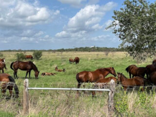 10 mind blowing texas escapes that feel like another world
