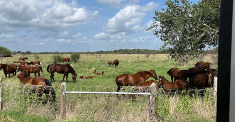 10 Mind-Blowing Texas Escapes That Feel Like Another World