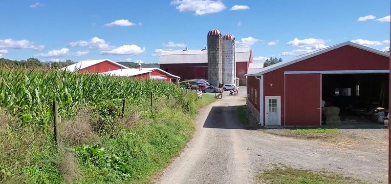 Jersey Girl Cheese at Hillcrest Orchard & Dairy - Branchville