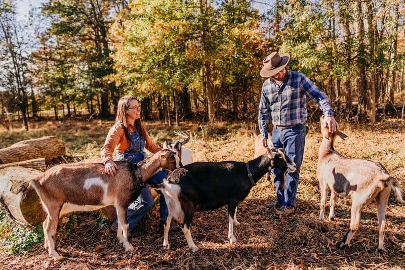 Gorgeous Goat Creamery - Stockton / western New Jersey