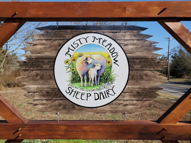 Misty Meadow Sheep Dairy - South Jersey