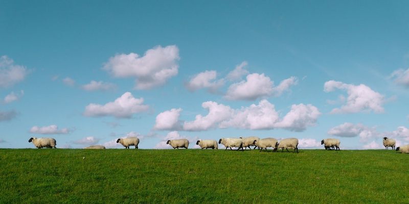 Beiler&rsquo;s Dairy - near Princeton