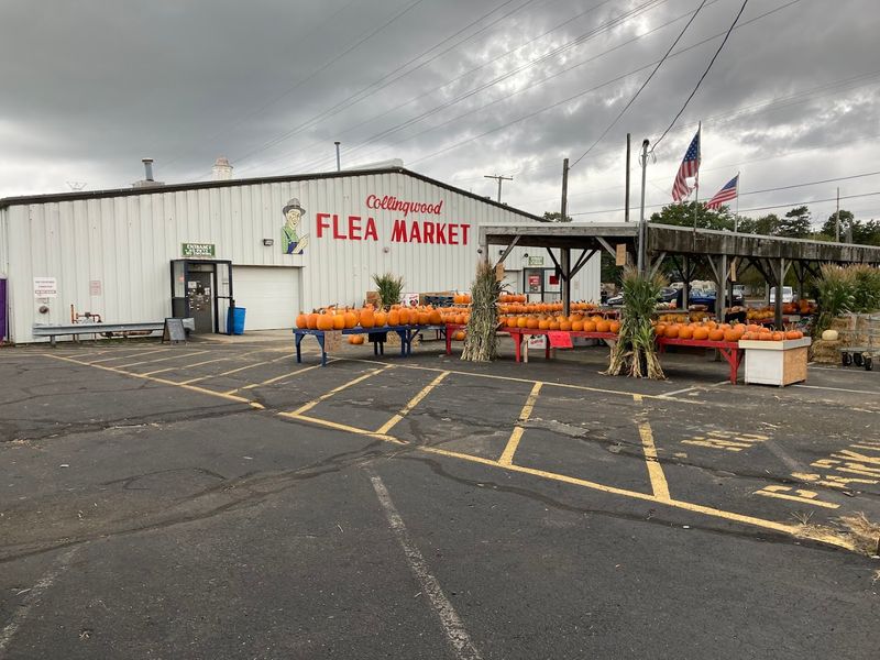 Collingwood Auction & Flea Market (Farmingdale, Monmouth County)