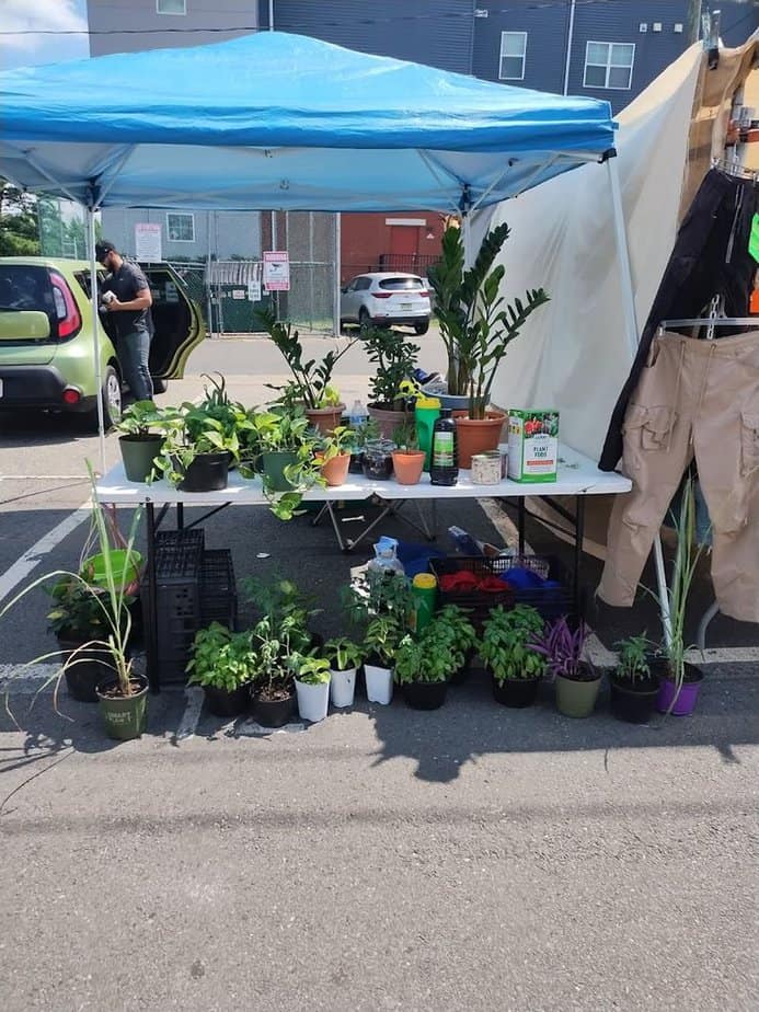 Avenel Flea Market (Avenel, Middlesex County)