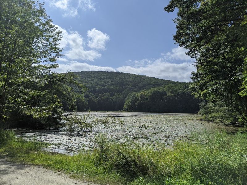 Shades of Death Road (Warren County)