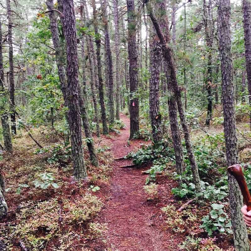 Ong’s Hat (Pine Barrens)