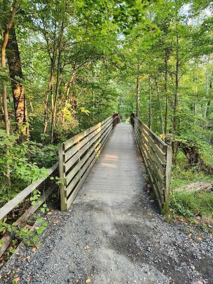 Manasquan Reservoir Cove Trail (Howell)