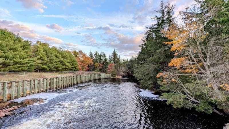 Double Trouble State Park (Pine Barrens)