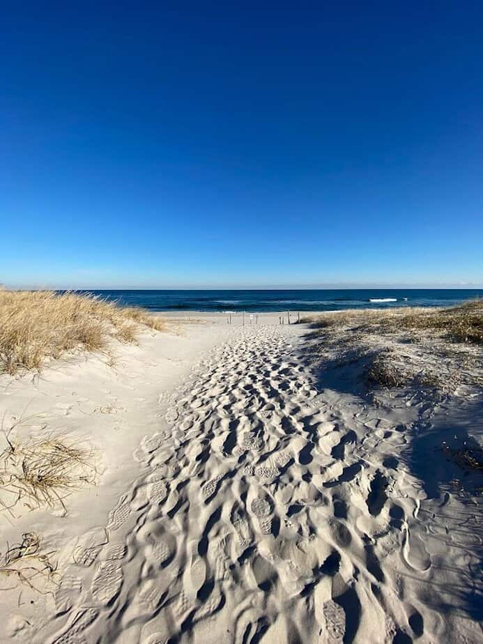 Island Beach State Park Discovery Trails (Seaside Park area)