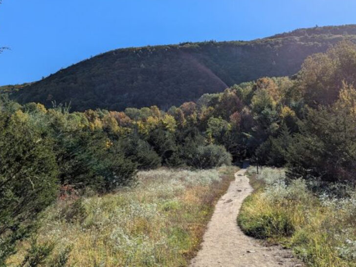 15 Easy Spring Hikes in New Jersey Even First-Timers Can Handle