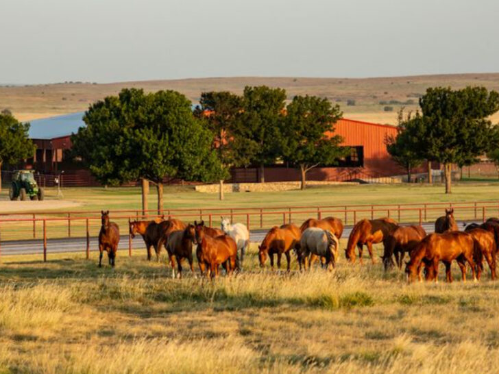 5 Incredible Places in Texas You&rsquo;ll Want on Your Next Road Trip