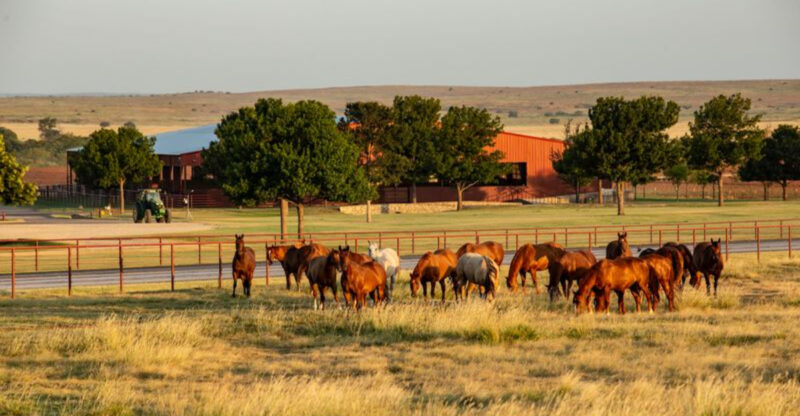 5 Incredible Places in Texas You’ll Want on Your Next Road Trip