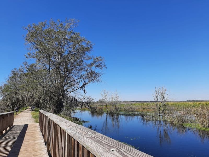 Brazos Bend State Park Trails (Near Houston)