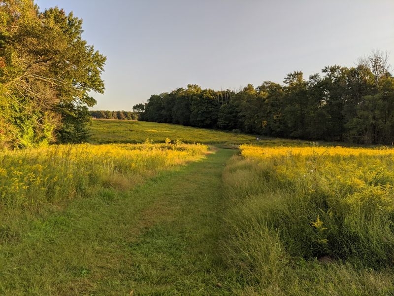 7 New Jersey Hikes Perfect for Beginners Who Love Wildlife Mercer Meadows