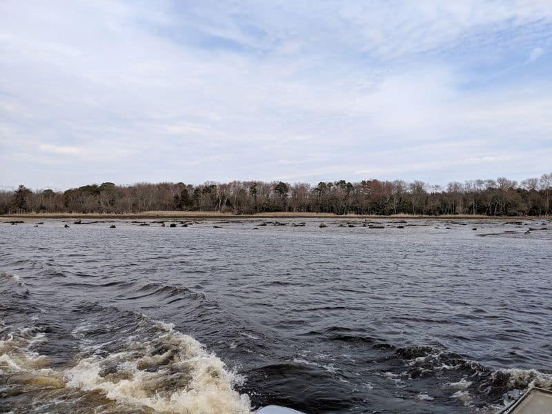 7 New Jersey Hikes Perfect for Beginners Who Love Wildlife Maurice River