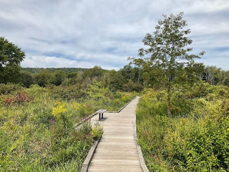 7 New Jersey Hikes Perfect for Beginners Who Love Wildlife Pochuck Boardwalk