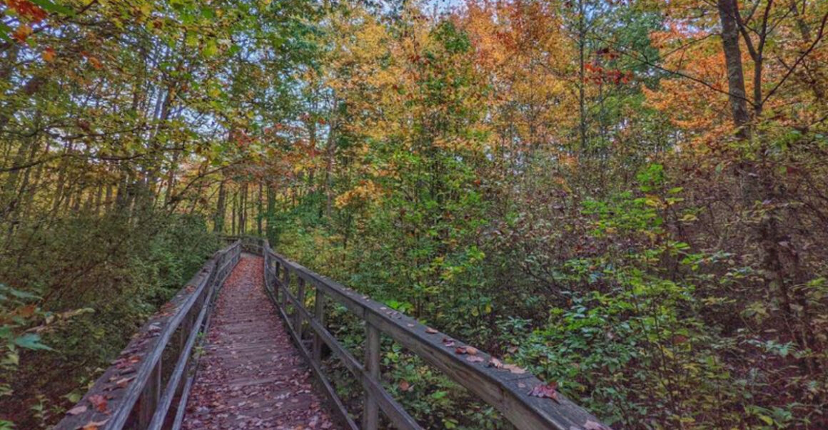 7 New Jersey Hikes Perfect for Beginners Who Love Wildlife