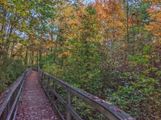 7 new jersey hikes perfect for beginners who love wildlife