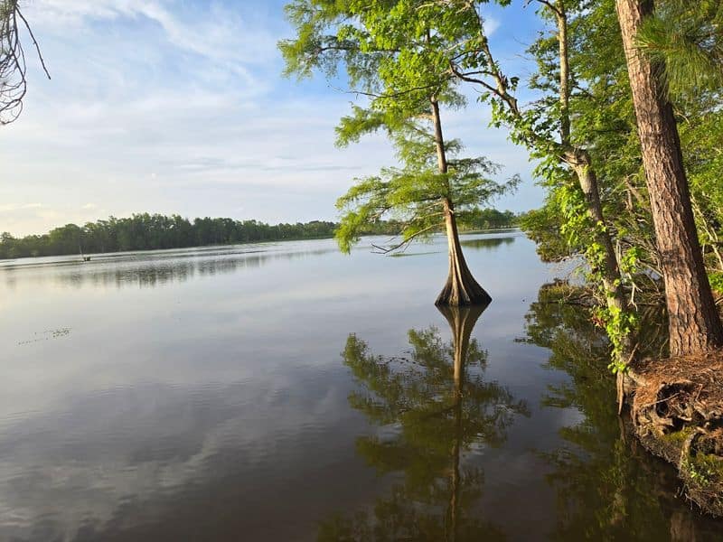 Martin Dies Jr. State Park (Jasper)