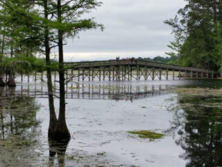 8 beautiful texas state parks flying under the radar