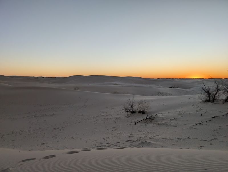 Monahans Sandhills (West Texas)