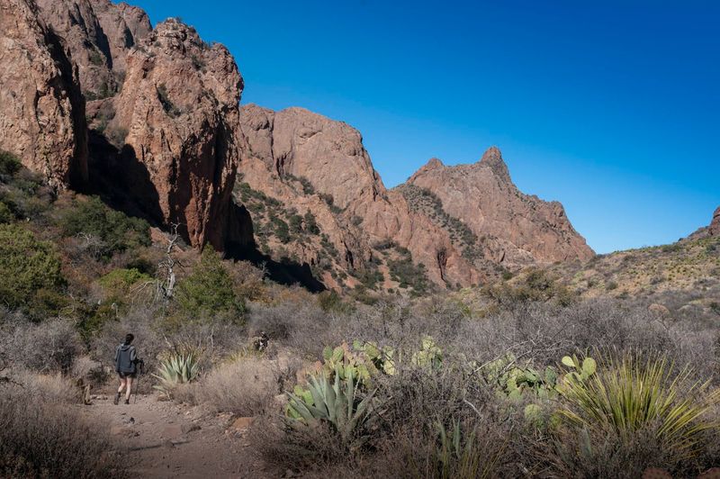 The Window Trail, Big Bend National Park