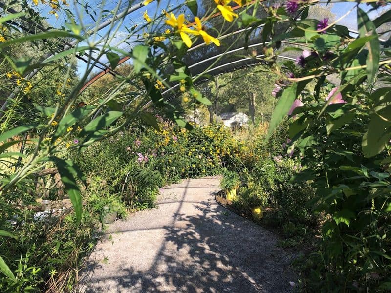 A Beautiful 950-Acre Reserve in New Jersey Is Home to a Butterfly House You’ll Want to See in Person How the Gardens Were Designed to Mirror Central New Jersey’s Wild Habitats