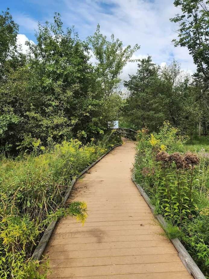 A Beautiful 950-Acre Reserve in New Jersey Is Home to a Butterfly House You’ll Want to See in Person What You’ll See Beyond the Butterflies on the Reserve’s Wooded Trails and Boardwalk