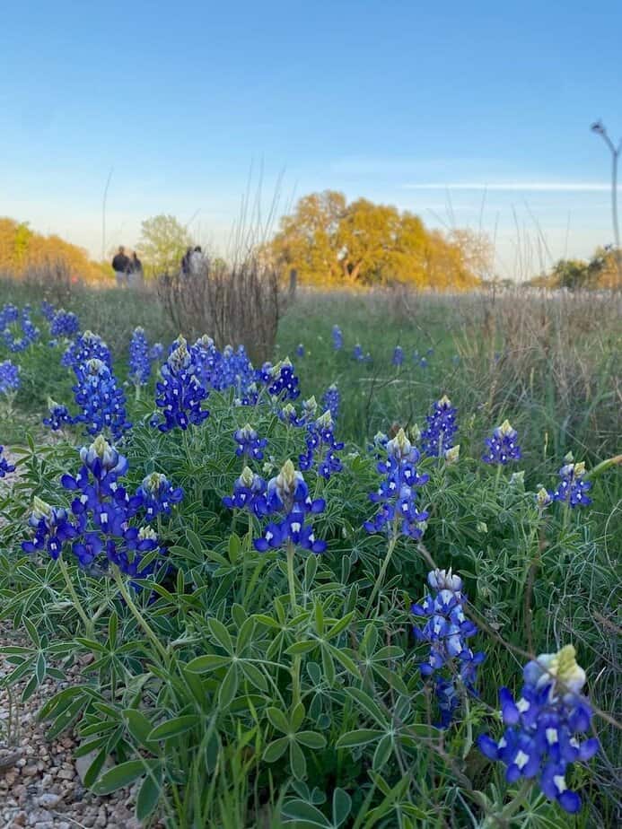 Scenic Nature Trails and Habitats