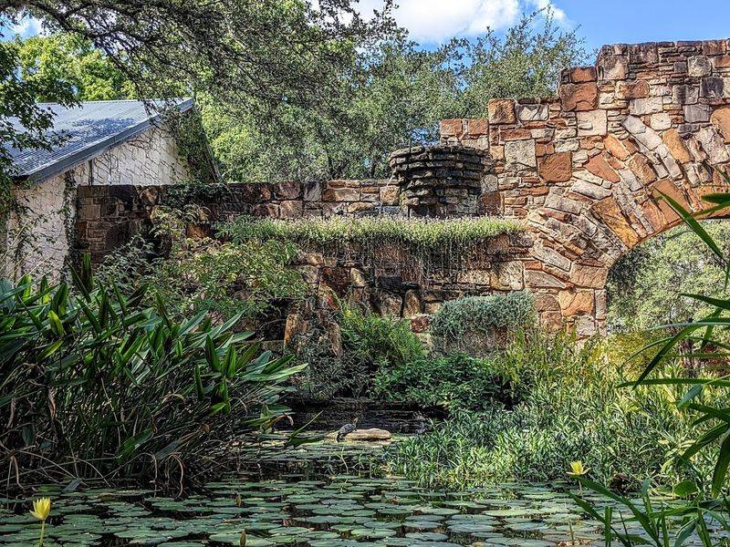 Wildlife Watching and Birdlife