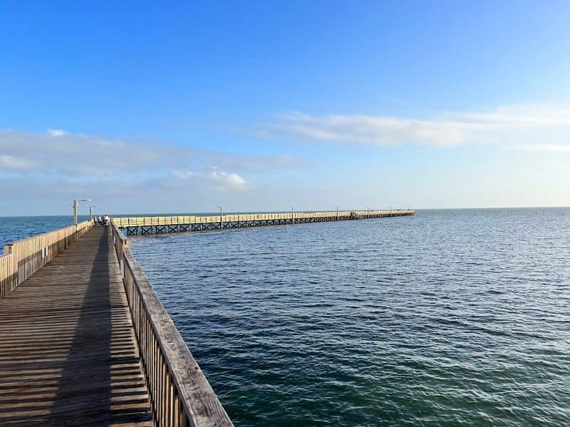 Fishing The Pier And Shoreline