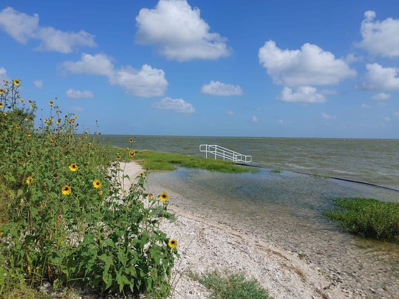 Practical Tips: Wind, Tides, And Season