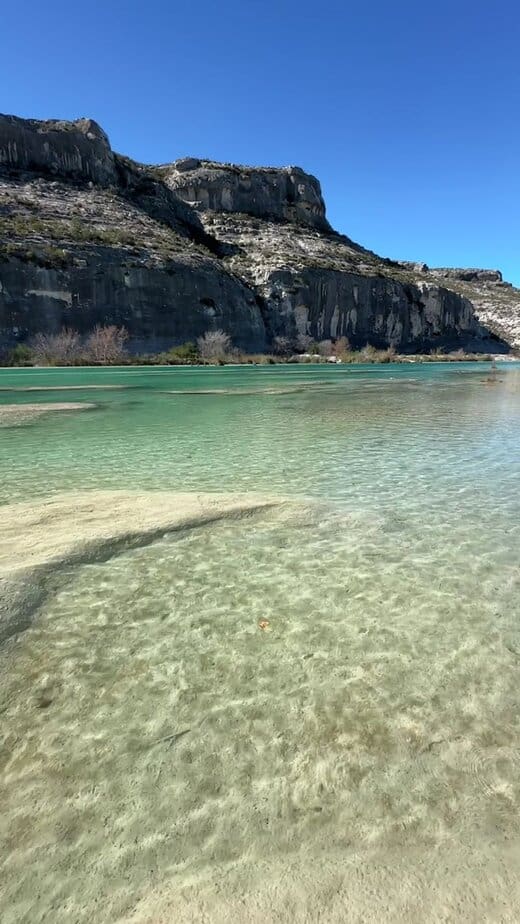 Wildlife Watching and Dark Skies