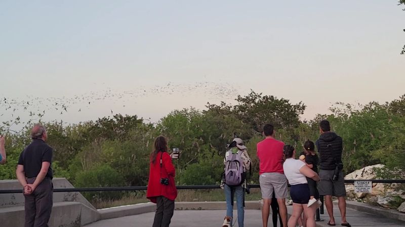 Family Friendly Stops and Accessibility