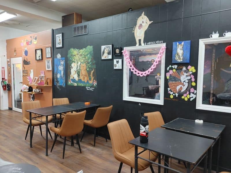 Local art and warm details that make the space feel like a community hangout