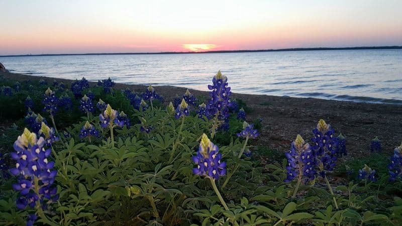 Cedar Hill State Park