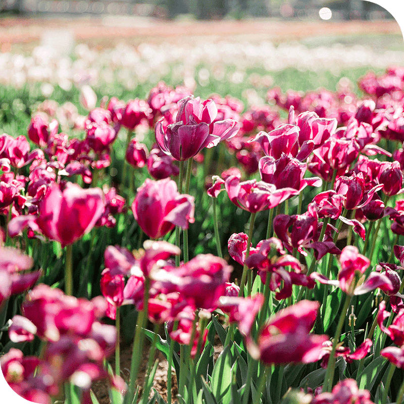 Tickets, Pricing, And Hours