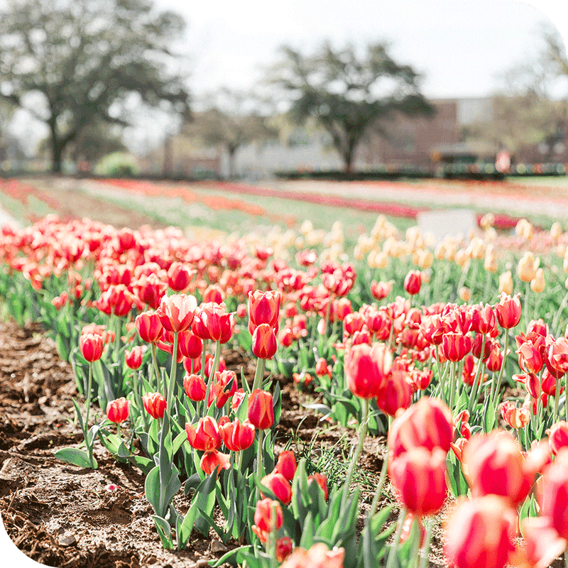 Getting There And First Looks