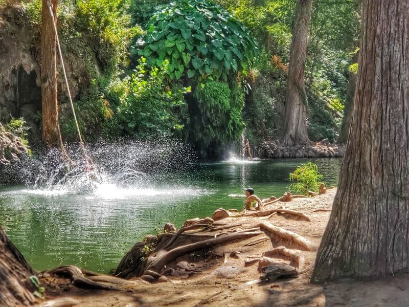 Lower Pool And Waterfall Oasis