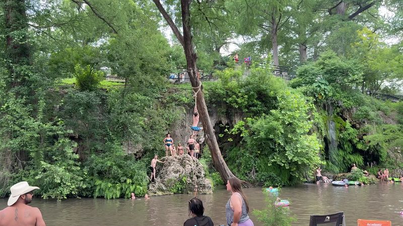 Rope Swing Thrills And Safe Jumps