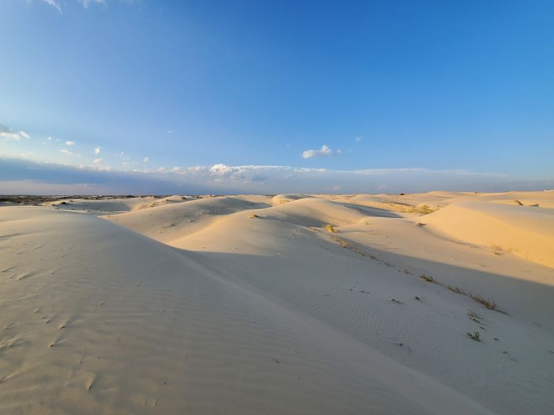 Monahans Sandhills State Park