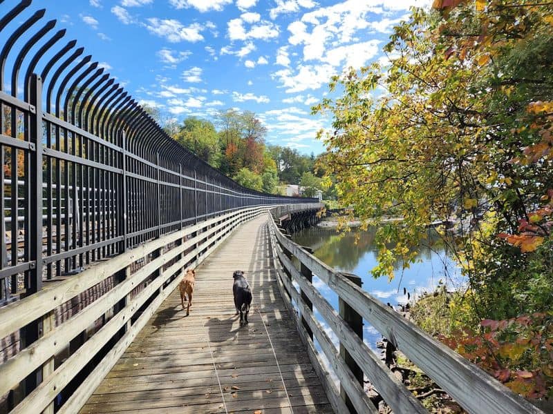 Why the Delaware and Raritan Canal Trail Feels Made for Long Runs and Easy Bike Rides