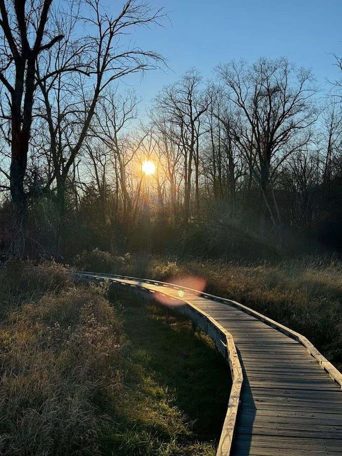 The easy one-mile New Jersey hike that feels like a hidden gem