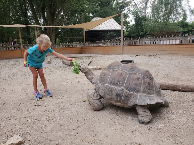 Walk Through Safari and Aviary