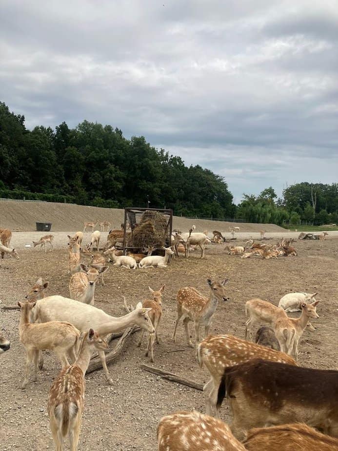 Food, Facilities, and Friendly Staff