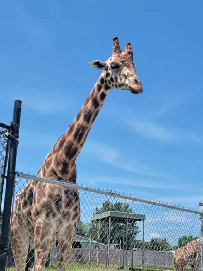 Plan Your Route to Port Clinton