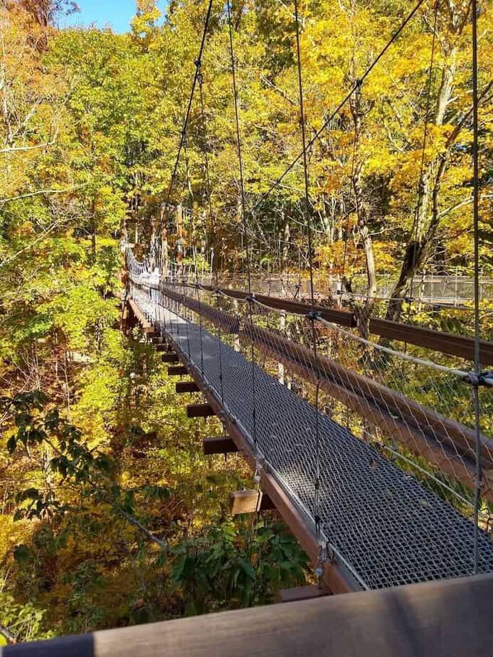 One Breathtaking Ohio Nature Spot Takes You High Among The Treetops For A Once-In-A-Lifetime Adventure Seasonal Magic And The Best Times To Go
